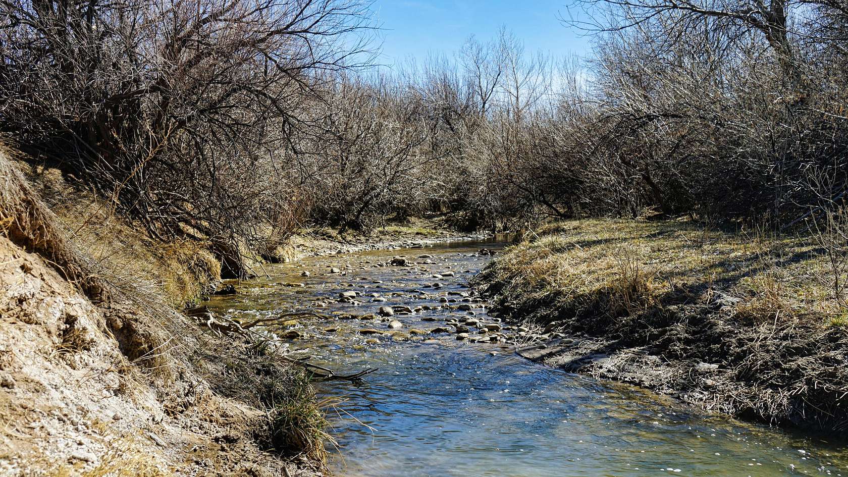 35 Acres of Land for Sale in Walsenburg, Colorado