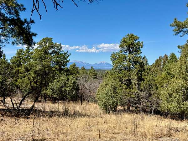 35 Acres of Land for Sale in Trinidad, Colorado