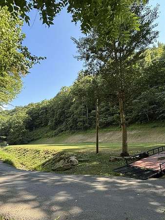 35 Acres of Land for Sale in Robinson Creek, Kentucky
