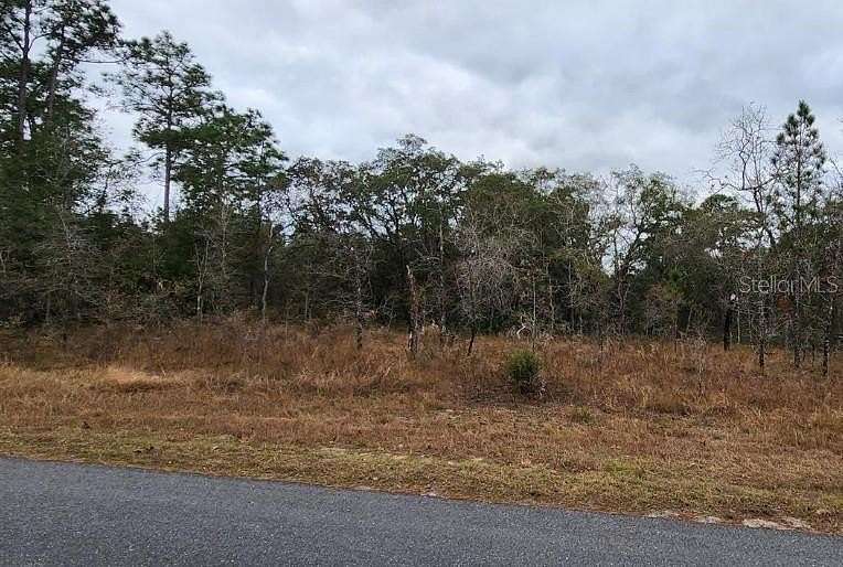 0.45 Acres of Residential Land for Sale in Weeki Wachee, Florida
