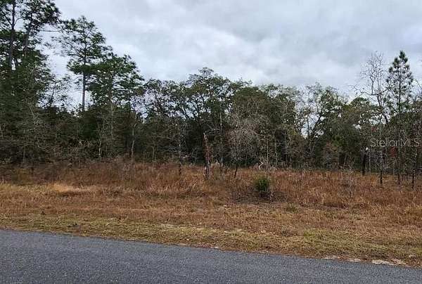 0.45 Acres of Residential Land for Sale in Weeki Wachee, Florida