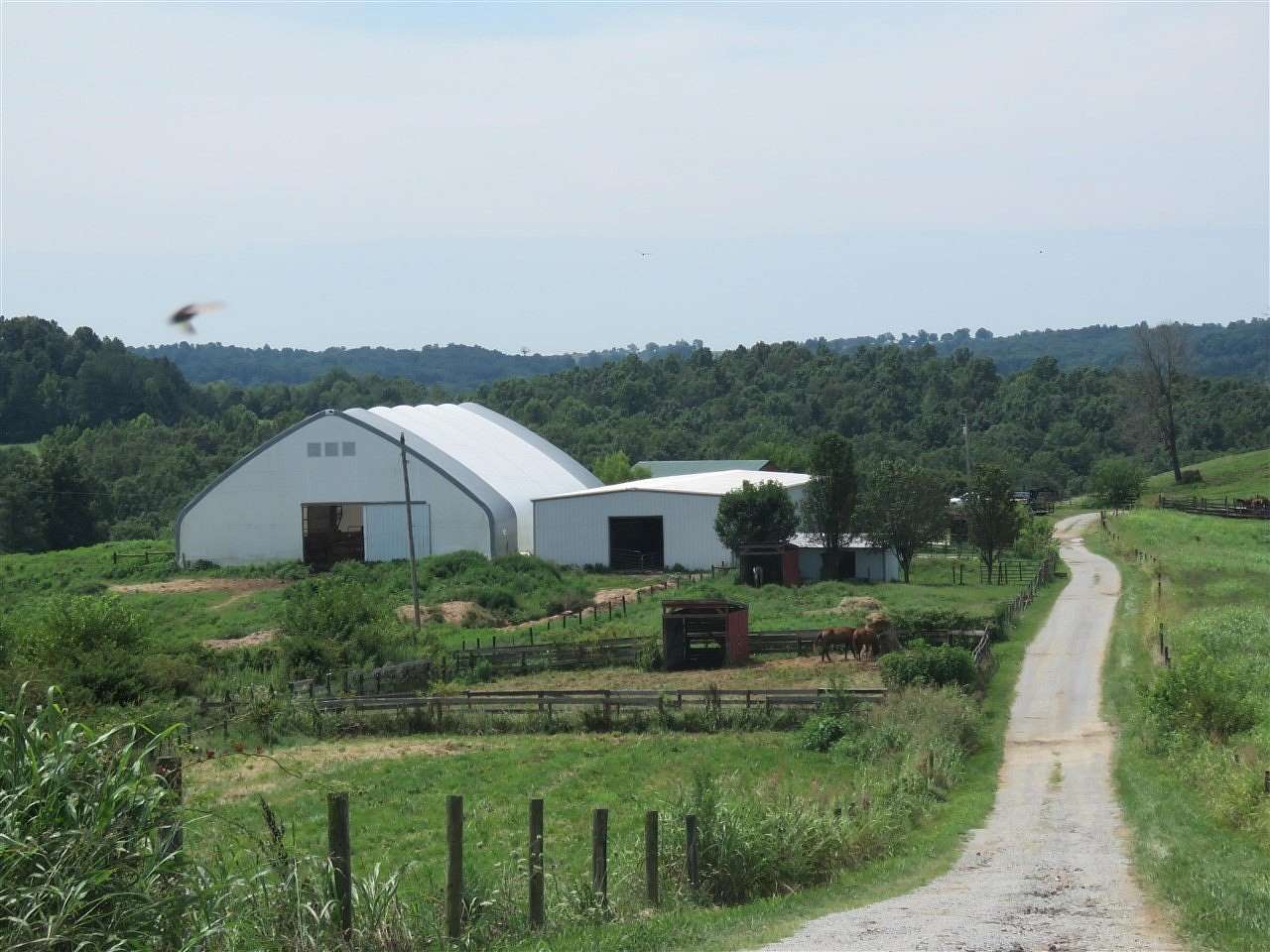168 Acres of Agricultural Land for Sale in Sweeden, Kentucky
