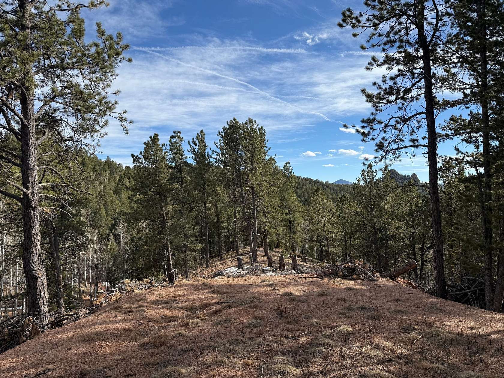 4.73 Acres of Land for Sale in Divide, Colorado
