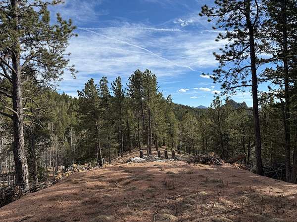4.73 Acres of Land for Sale in Divide, Colorado