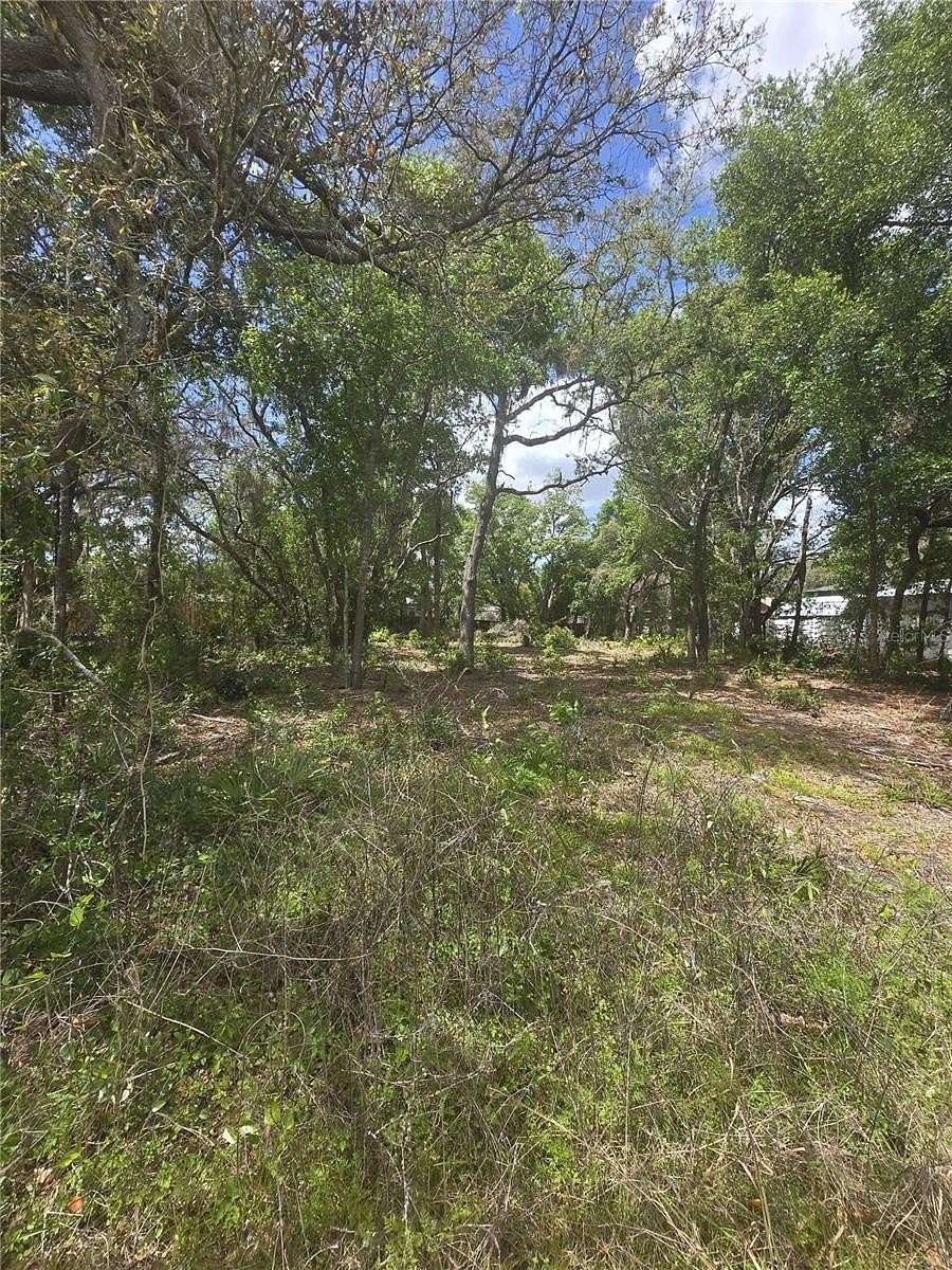 0.51 Acres of Residential Land for Sale in Lakeland, Florida