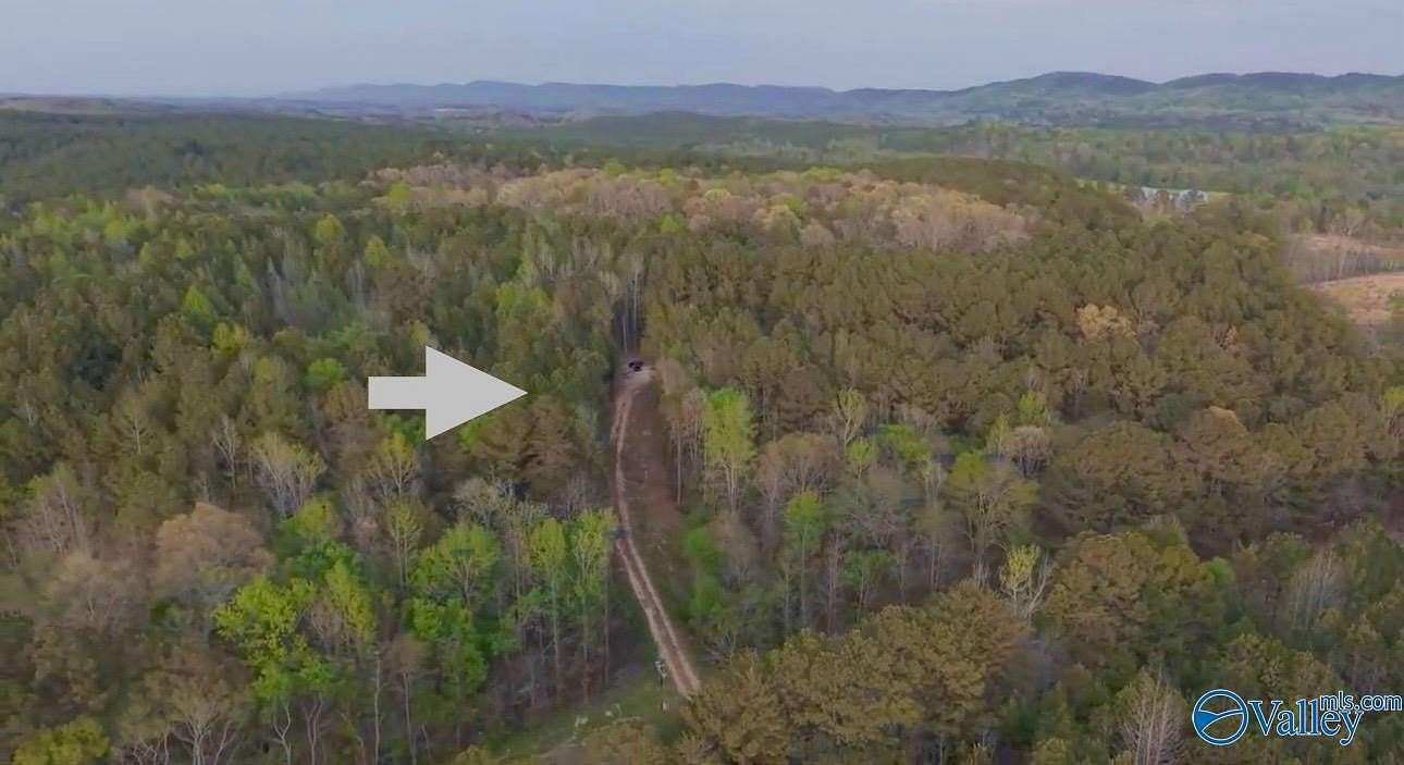 12 Acres of Land for Sale in Gaylesville, Alabama