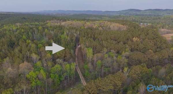 12 Acres of Land for Sale in Gaylesville, Alabama