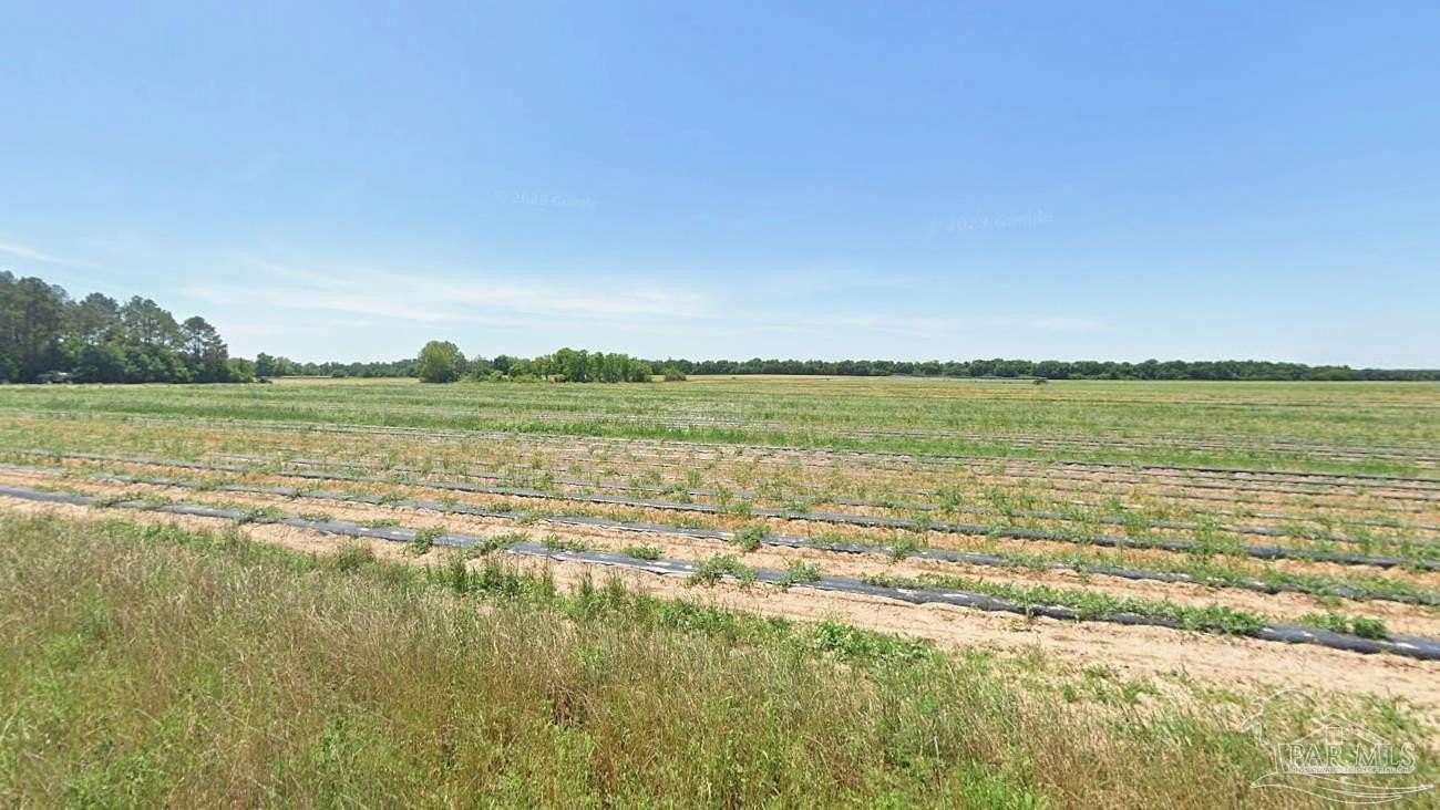 20 Acres of Land for Sale in Allentown, Florida