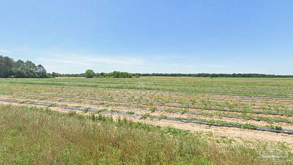 20 Acres of Land for Sale in Allentown, Florida
