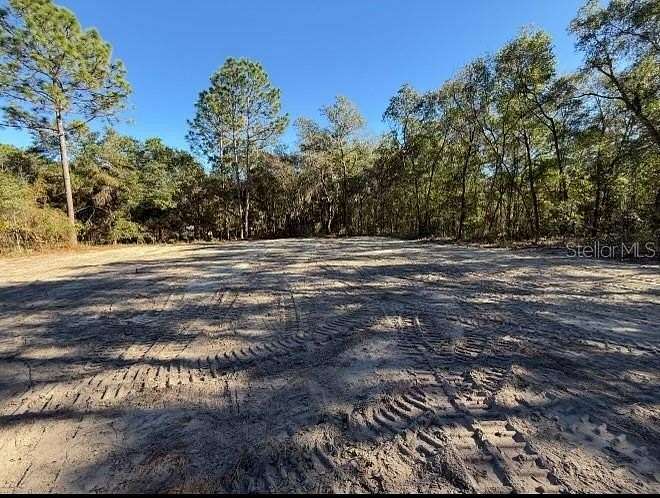 1.69 Acres of Land for Sale in Hawthorne, Florida