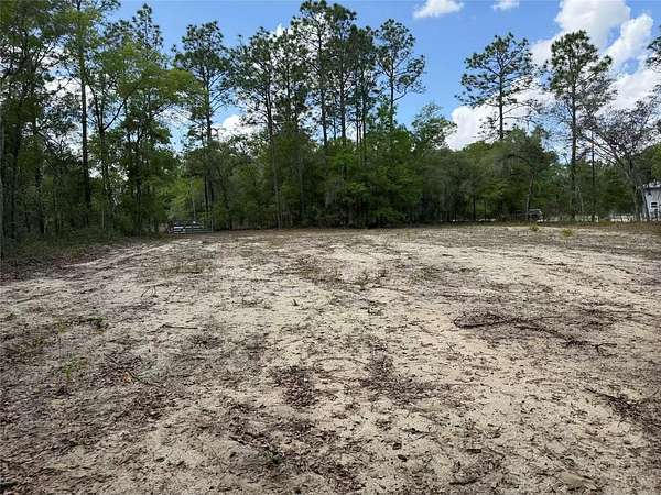 1.69 Acres of Land for Sale in Hawthorne, Florida