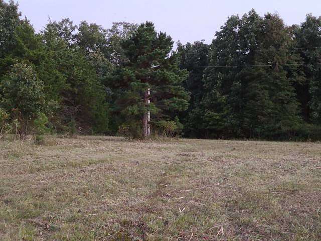 Residential Land for Sale in Steelville, Missouri