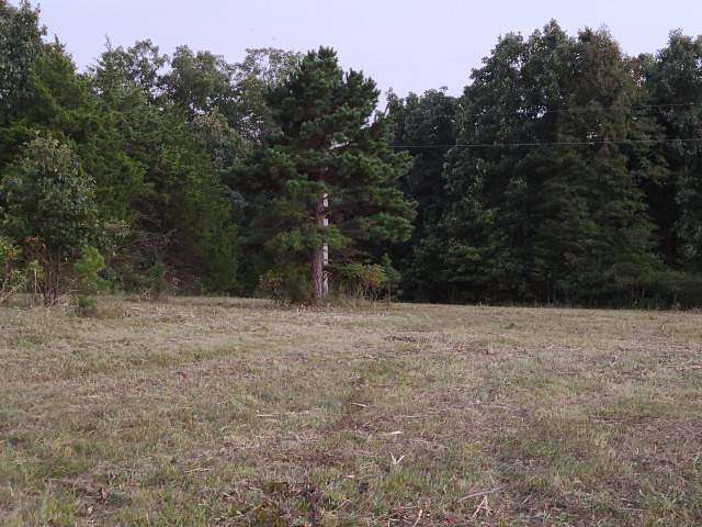 39.3 Acres of Land for Sale in Steelville, Missouri