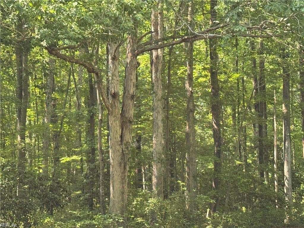 0.44 Acres of Residential Land for Sale in Suffolk, Virginia