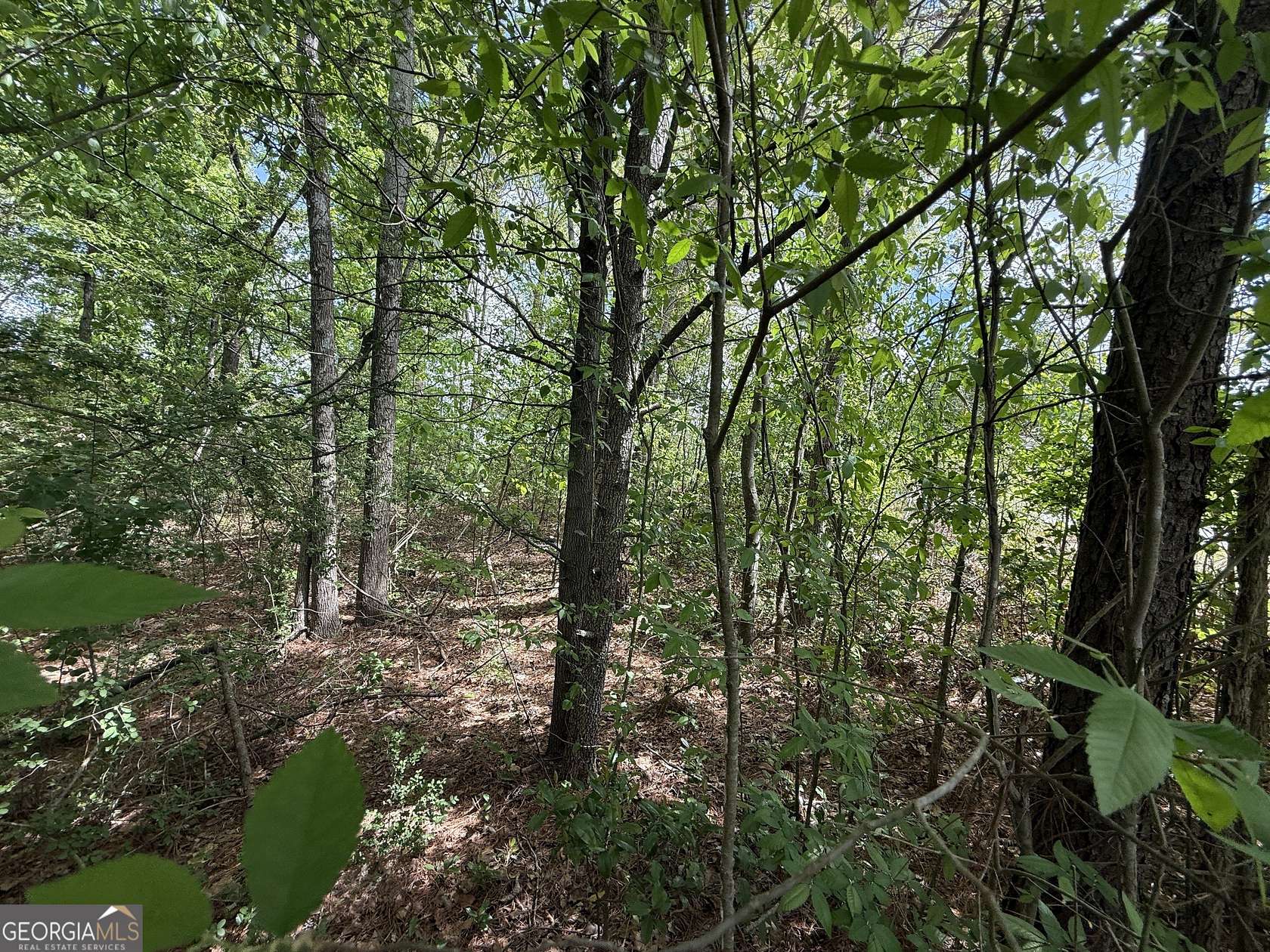 0.58 Acres of Residential Land for Sale in Conley, Georgia