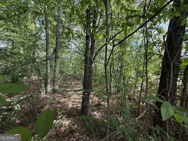 0.58 Acres of Residential Land for Sale in Conley, Georgia