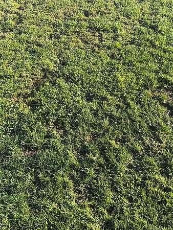 0.44 Acres of Residential Land for Sale in Dewey, Oklahoma