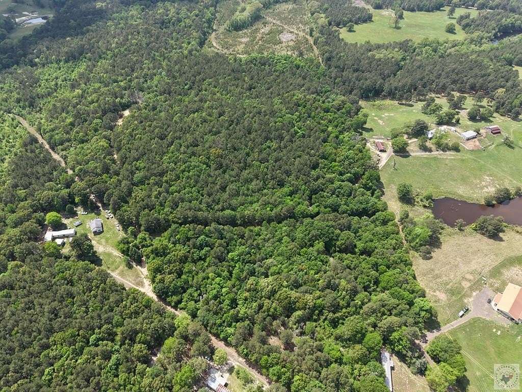 15.3 Acres of Land for Sale in McLeod, Texas