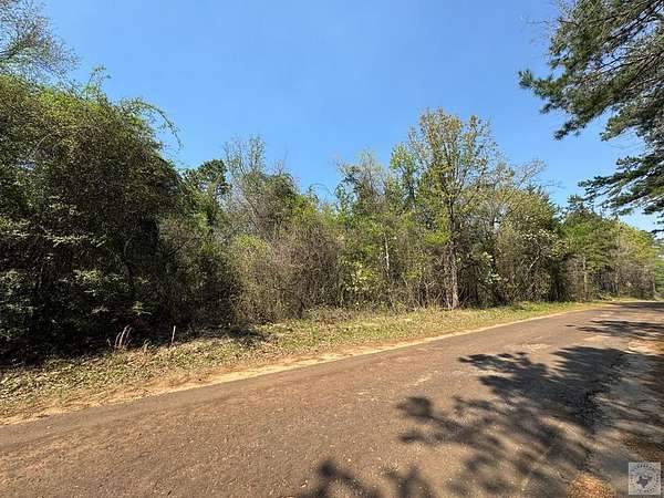 15.3 Acres of Land for Sale in McLeod, Texas