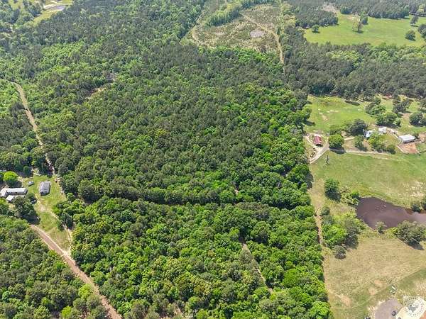15.3 Acres of Land for Sale in McLeod, Texas
