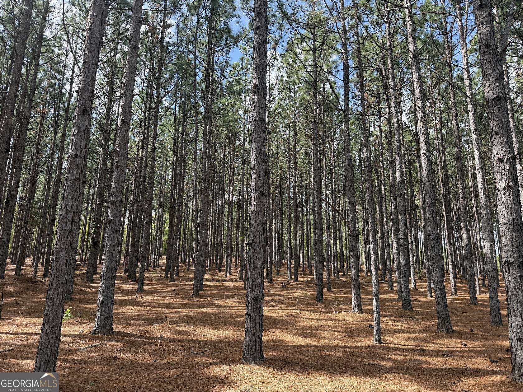 2.43 Acres of Residential Land for Sale in Lumpkin, Georgia