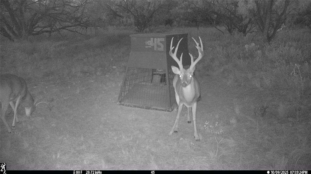 45 Acres of Land for Sale in Breckenridge, Texas