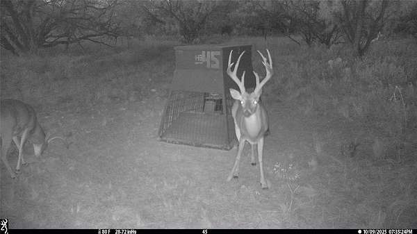 65 Acres of Recreational Land for Sale in Breckenridge, Texas