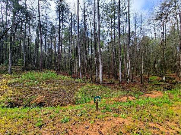 3.25 Acres of Residential Land for Sale in Ellijay, Georgia
