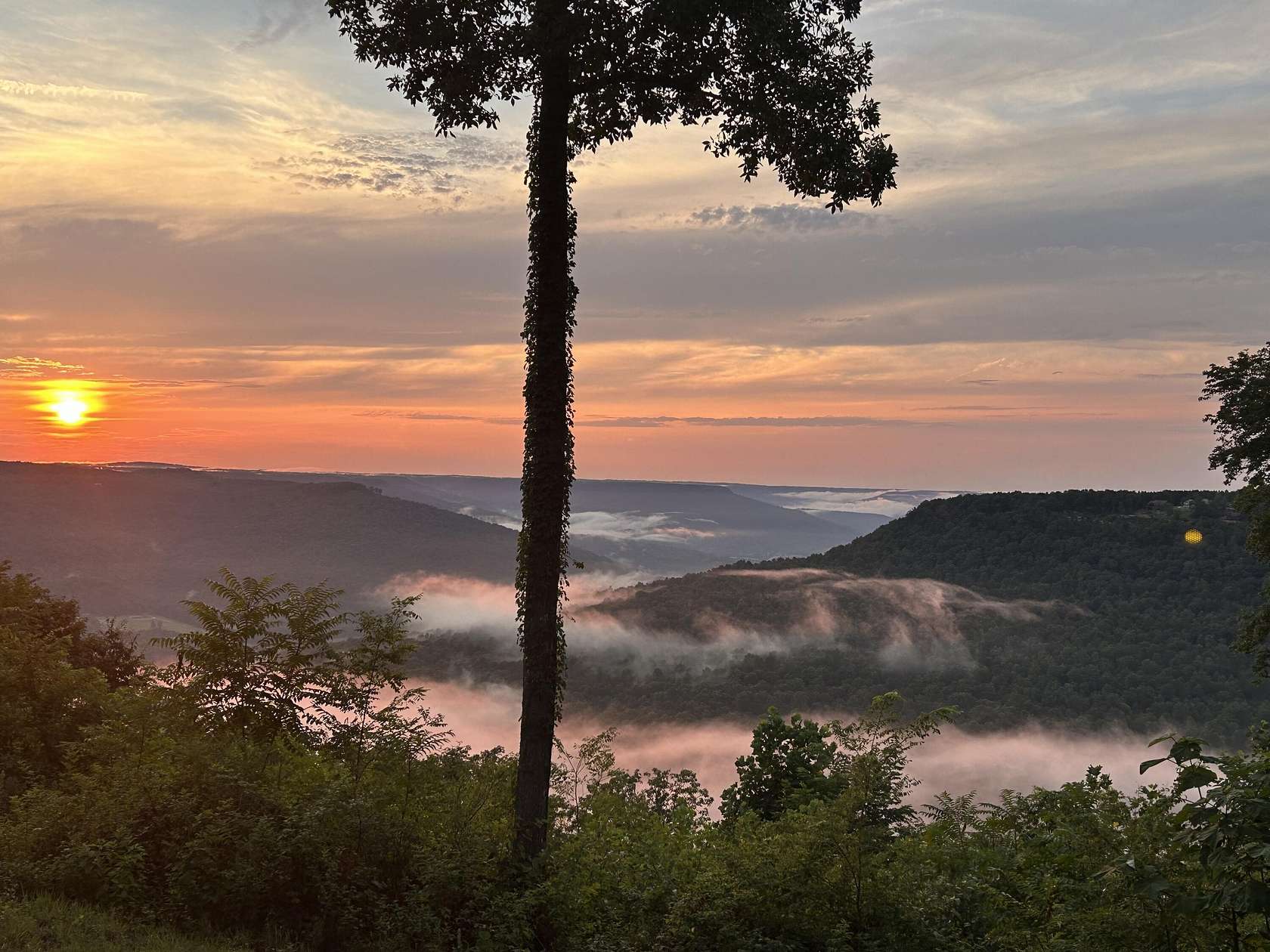 0.68 Acres of Residential Land for Sale in Jasper, Tennessee