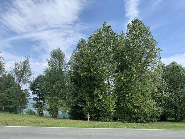 0.68 Acres of Residential Land for Sale in Jasper, Tennessee