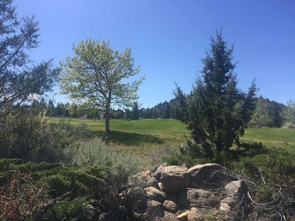 0.29 Acres of Residential Land for Sale in Weed, California