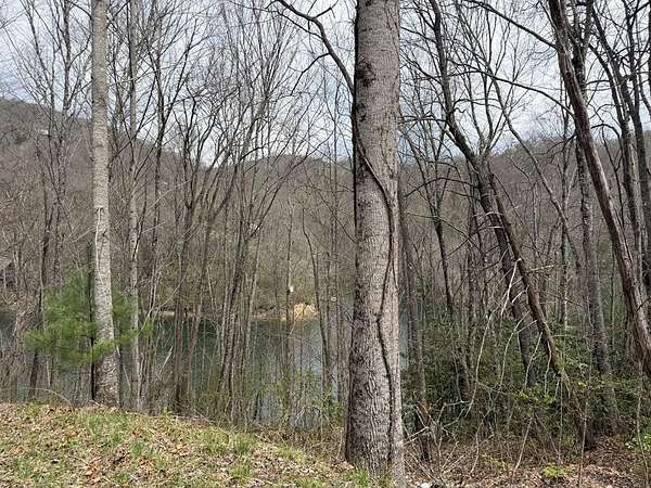 1.43 Acres of Residential Land for Sale in Topton, North Carolina