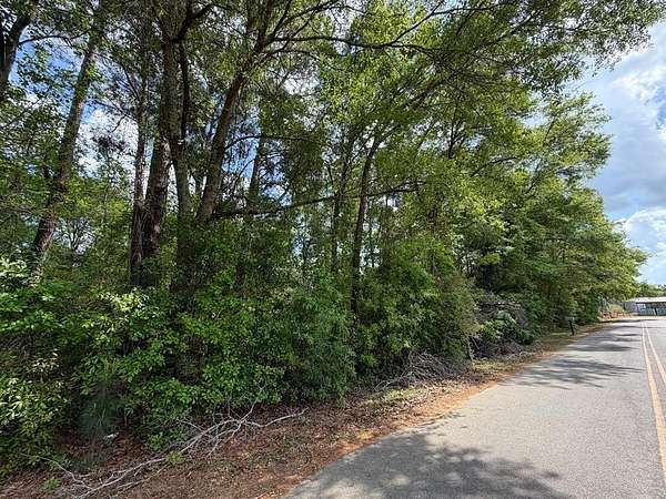 1 Acre of Residential Land for Sale in Rebecca, Georgia