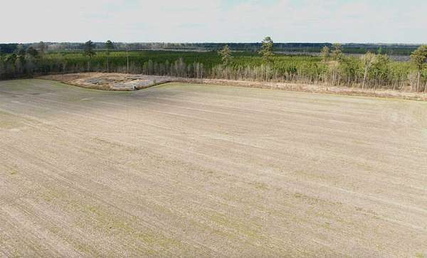 80.6 Acres of Land for Sale in Gates, North Carolina