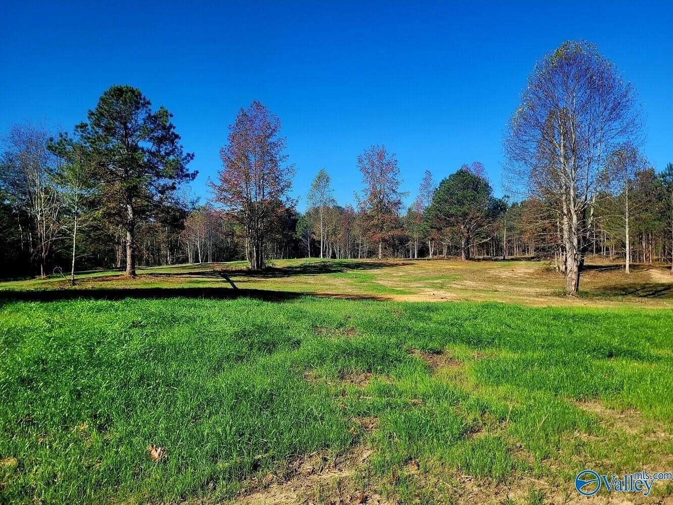 58.5 Acres of Agricultural & Residential Land for Sale in Arab, Alabama
