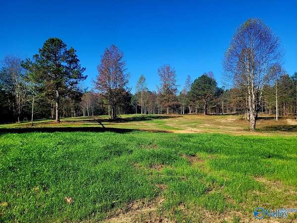 58.5 Acres of Agricultural & Residential Land for Sale in Arab, Alabama
