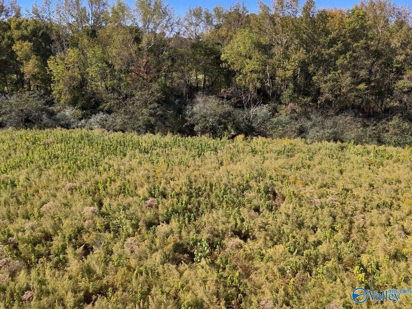 20 Acres of Land for Sale in Eva, Alabama