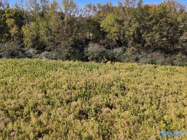 20 Acres of Land for Sale in Eva, Alabama