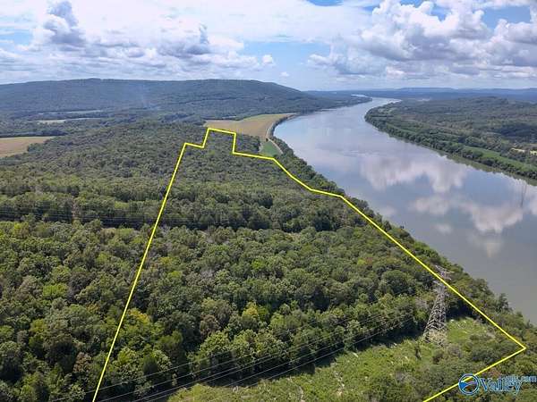 100 Acres of Land for Sale in Bryant, Alabama