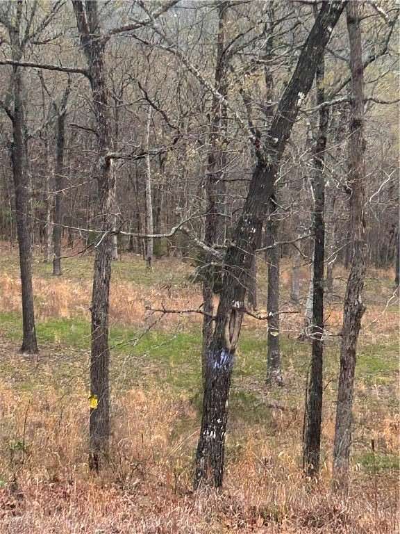 42.7 Acres of Recreational Land for Sale in Huntsville, Arkansas