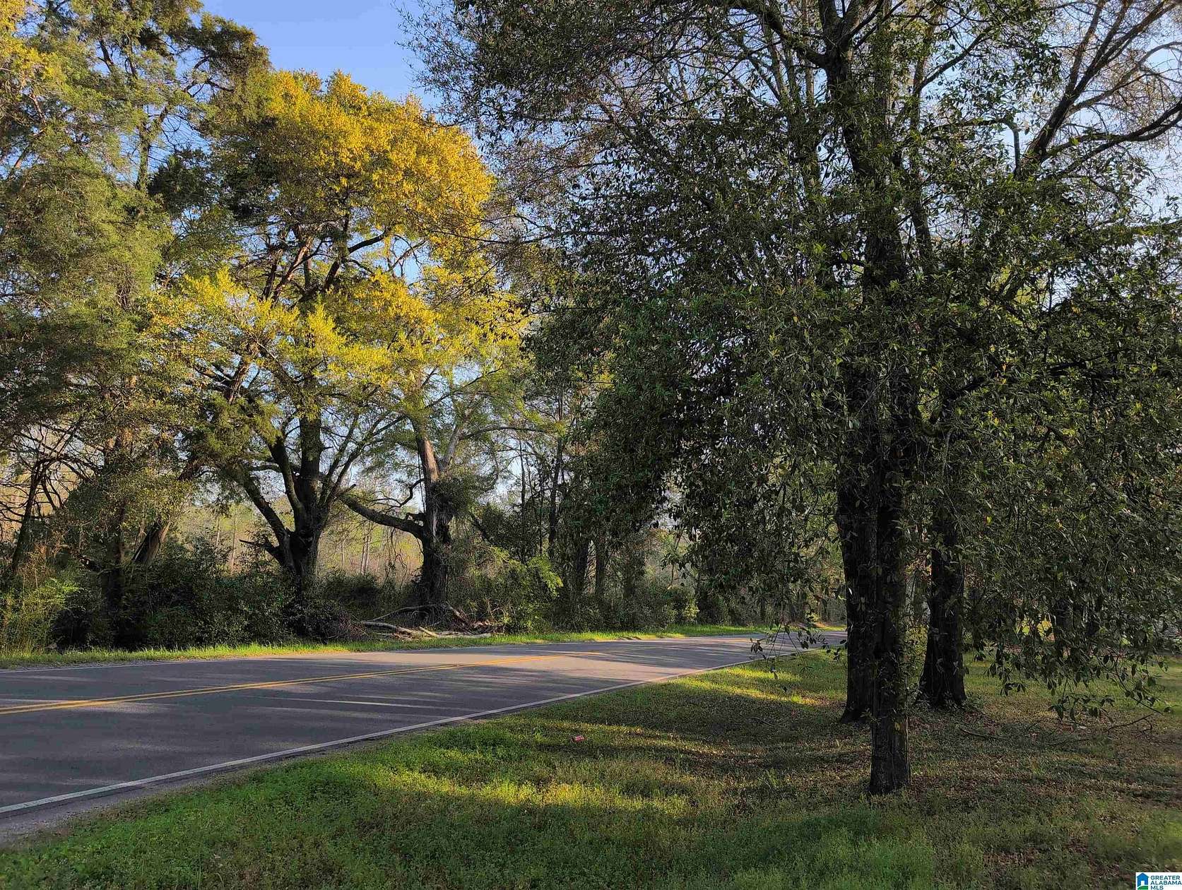 17 Acres of Land for Sale in Millbrook, Alabama