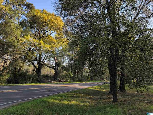 17 Acres of Land for Sale in Millbrook, Alabama