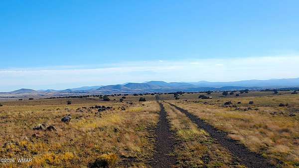 2 Acres of Residential Land for Sale in Concho, Arizona