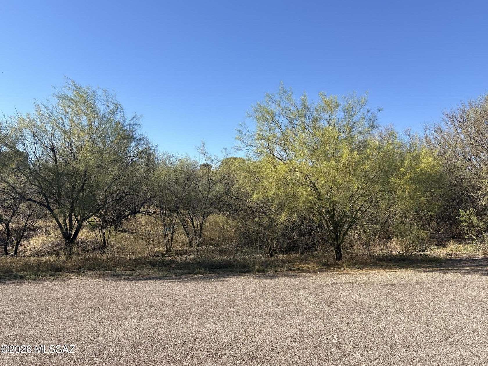 0.54 Acres of Residential Land for Sale in Rio Rico, Arizona