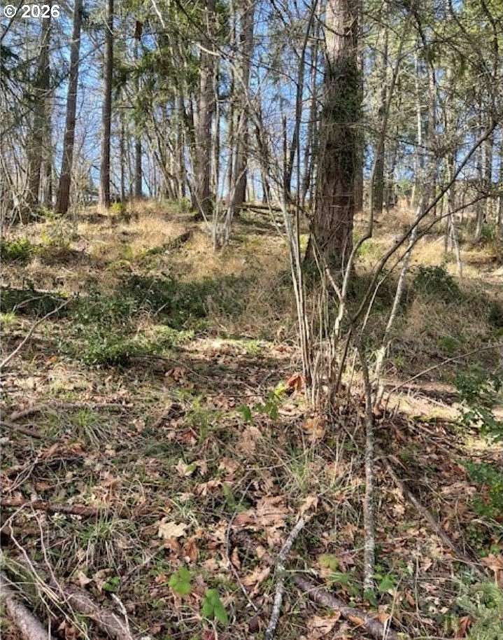 0.27 Acres of Residential Land for Sale in Eugene, Oregon