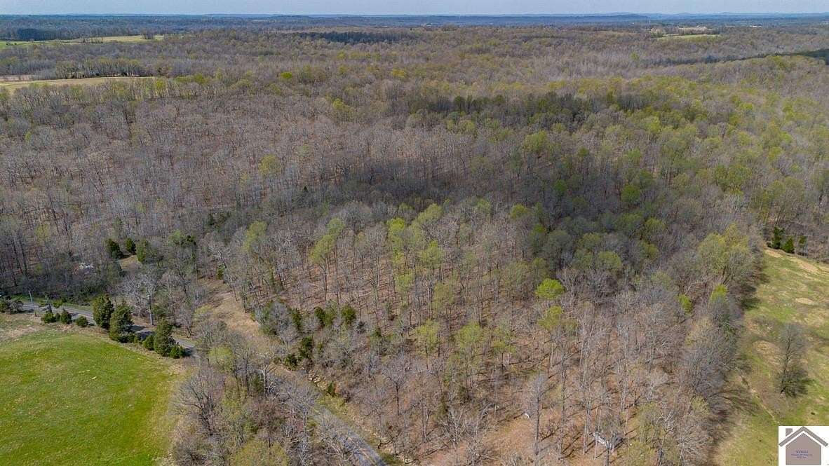 23.2 Acres of Recreational & Residential Land for Sale in Salem, Kentucky