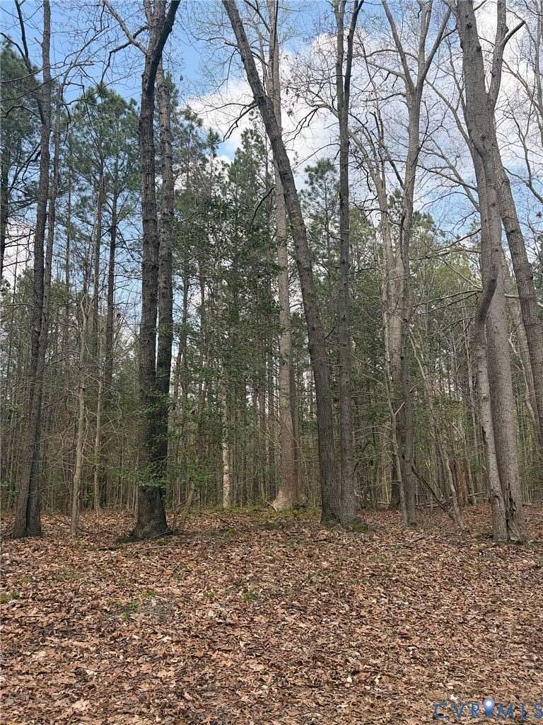 6 Acres of Land for Sale in Amelia Court House, Virginia