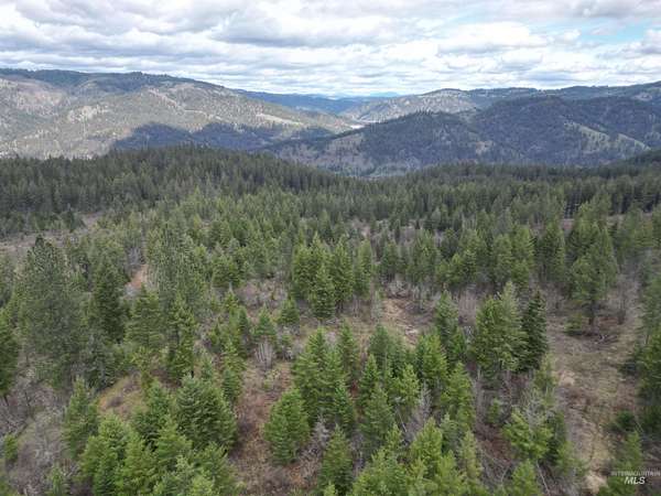 53 Acres of Recreational & Residential Land for Sale in Orofino, Idaho