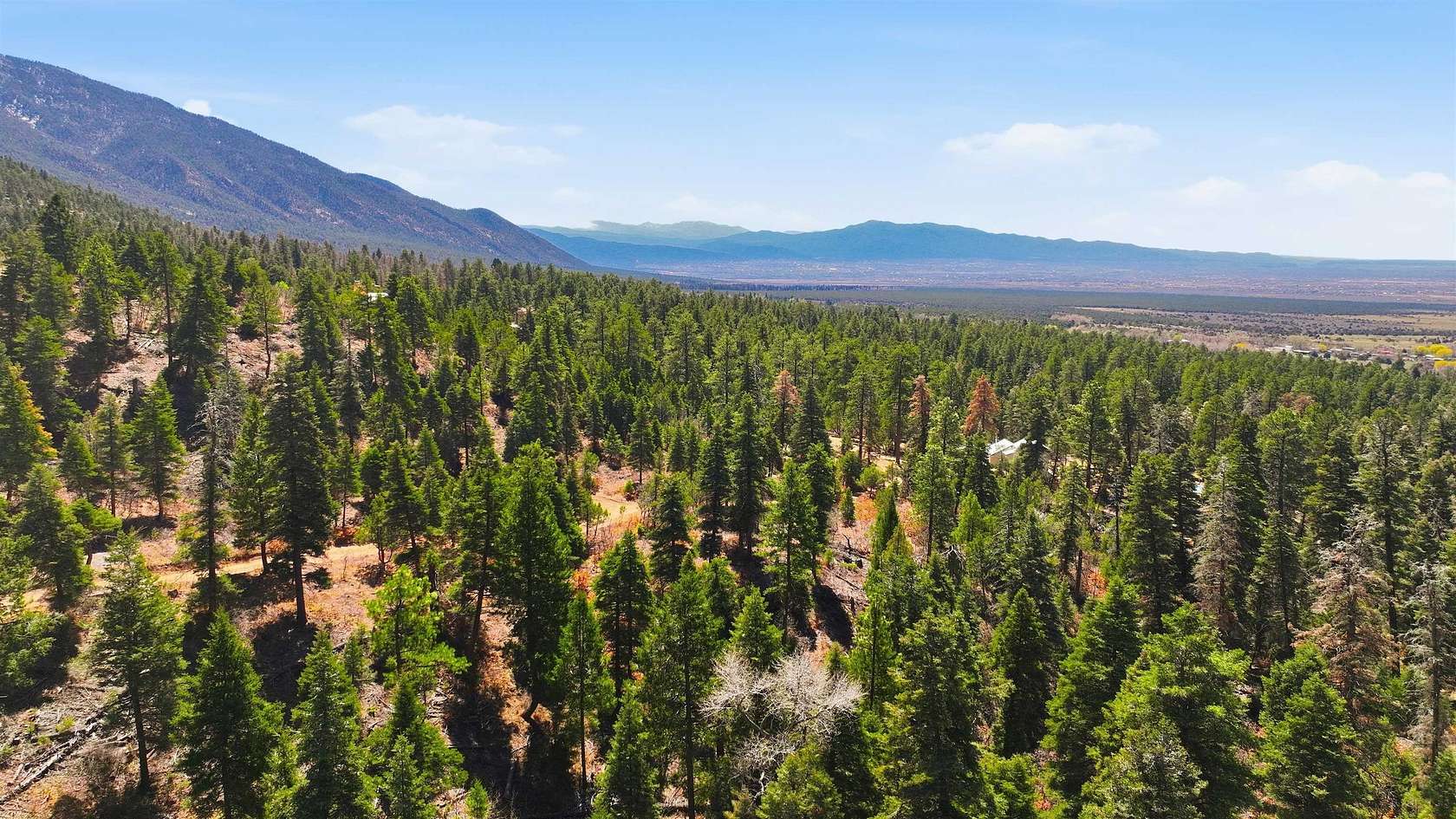 13.6 Acres of Land for Sale in Arroyo Seco, New Mexico