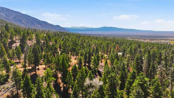 13.6 Acres of Land for Sale in Arroyo Seco, New Mexico